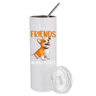 Corgi I've Got Friends In Low Places Pembroke Welsh Lover Gift Stainless Steel Tumbler