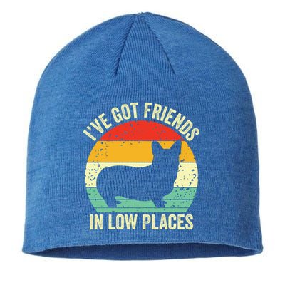 Corgi I've Got Friends In Low Places Pembroke Welsh Lover Te Gift Sustainable Beanie