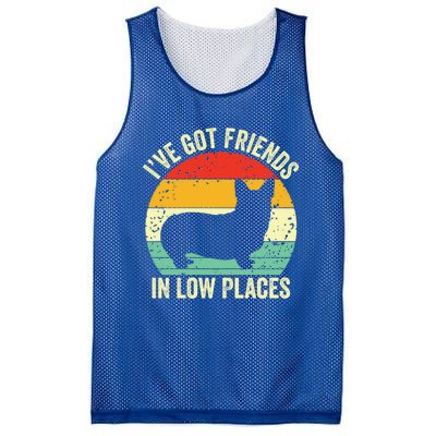 Corgi I've Got Friends In Low Places Pembroke Welsh Lover Te Gift Mesh Reversible Basketball Jersey Tank