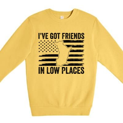 Corgi I've Got Friends In Low Places Pembroke Welsh Lover Te Gift Premium Crewneck Sweatshirt