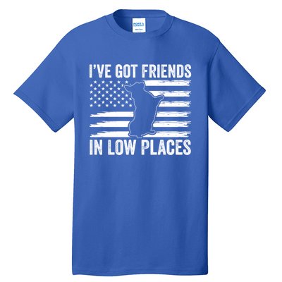 Corgi I've Got Friends In Low Places Pembroke Welsh Lover Te Gift Tall T-Shirt