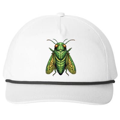 Cicada Insect Great Eastern Broods Xix Xiii 2024 Emergence Snapback Five-Panel Rope Hat