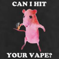 Can I Hit Your Vape Funny Rat 7 Panel Mesh Trucker Snapback Hat