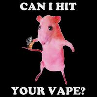 Can I Hit Your Vape Funny Rat 16 in Basic Backpack