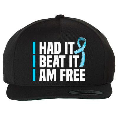 Cancer I Had It I Beat It Im Free Prostate Cancer Survivor Wool Snapback Cap