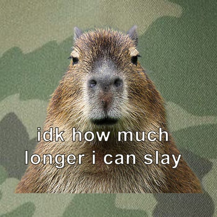Capybara Idk How Much Longer I Can Slay Legacy Tie Dye Trucker Hat