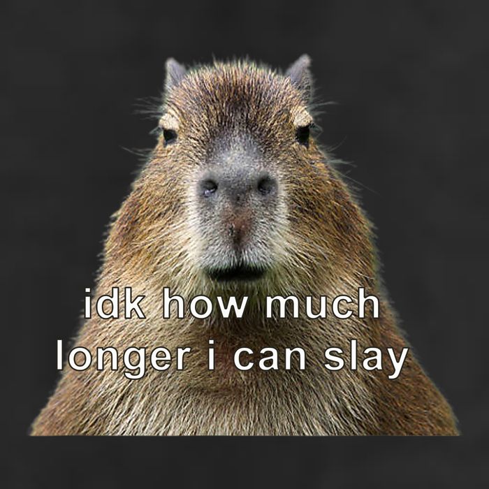 Capybara Idk How Much Longer I Can Slay Garment-Dyed Fleece Hoodie