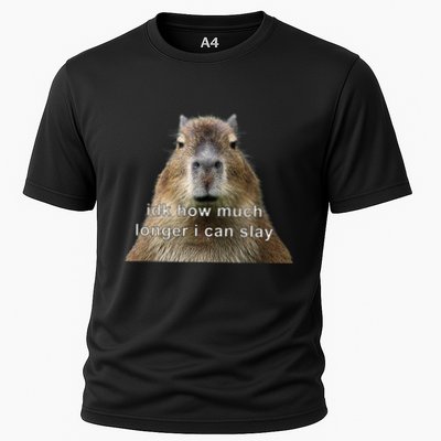 Capybara Idk How Much Longer I Can Slay Performance Shirt
