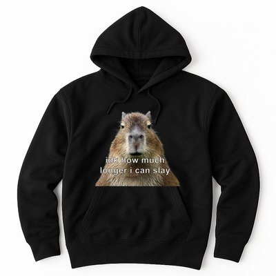 Capybara Idk How Much Longer I Can Slay Hoodie