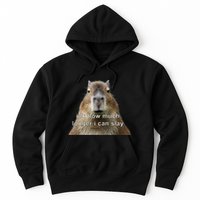 Capybara Idk How Much Longer I Can Slay Hoodie