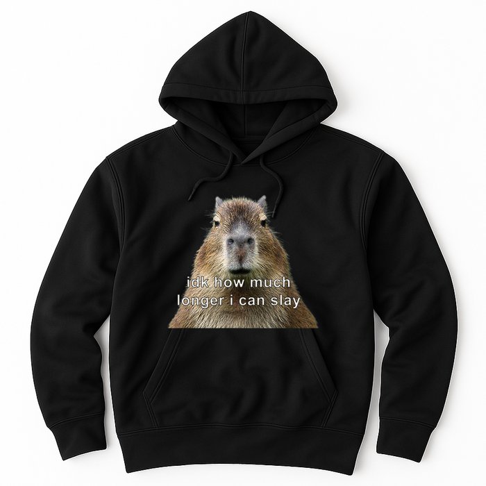Capybara Idk How Much Longer I Can Slay Hoodie