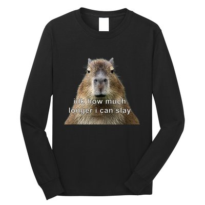 Capybara Idk How Much Longer I Can Slay Long Sleeve Shirt