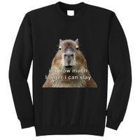 Capybara Idk How Much Longer I Can Slay Sweatshirt