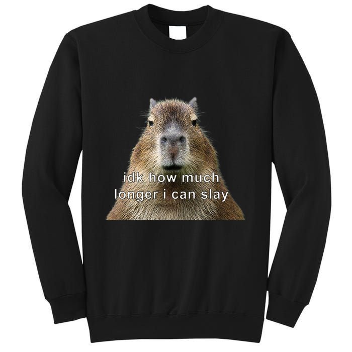 Capybara Idk How Much Longer I Can Slay Sweatshirt