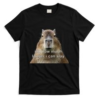 Capybara Idk How Much Longer I Can Slay T-Shirt