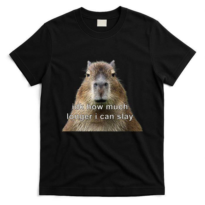Capybara Idk How Much Longer I Can Slay T-Shirt