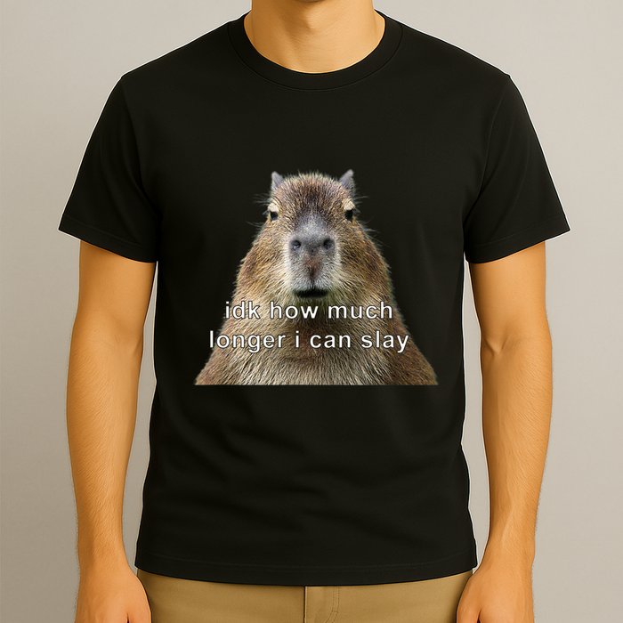 Capybara Idk How Much Longer I Can Slay T-Shirt