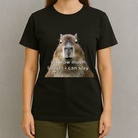 Capybara Idk How Much Longer I Can Slay T-Shirt