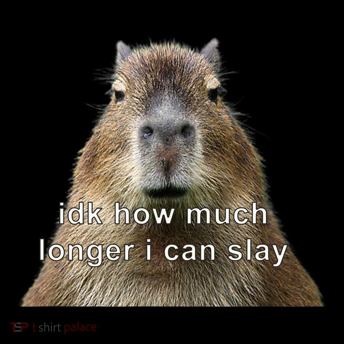 Capybara Idk How Much Longer I Can Slay T-Shirt