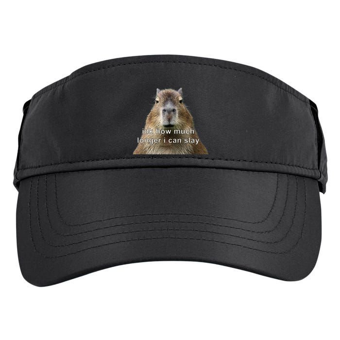 Capybara Idk How Much Longer I Can Slay Adult Drive Performance Visor