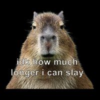 Capybara Idk How Much Longer I Can Slay Bucket Hat