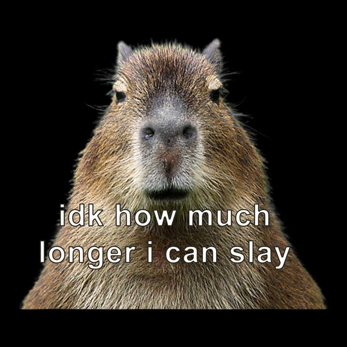 Capybara Idk How Much Longer I Can Slay Bucket Hat