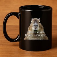 Capybara Idk How Much Longer I Can Slay 11oz C Handle Ceramic Mug