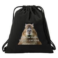 Capybara Idk How Much Longer I Can Slay Drawstring Bag