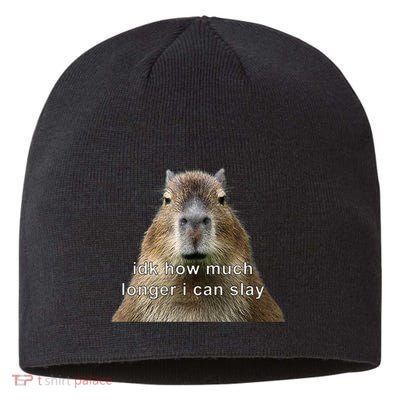 Capybara Idk How Much Longer I Can Slay Sustainable Beanie