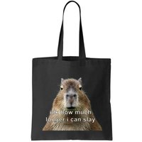 Capybara Idk How Much Longer I Can Slay Bag