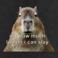 Capybara Idk How Much Longer I Can Slay Tumbler