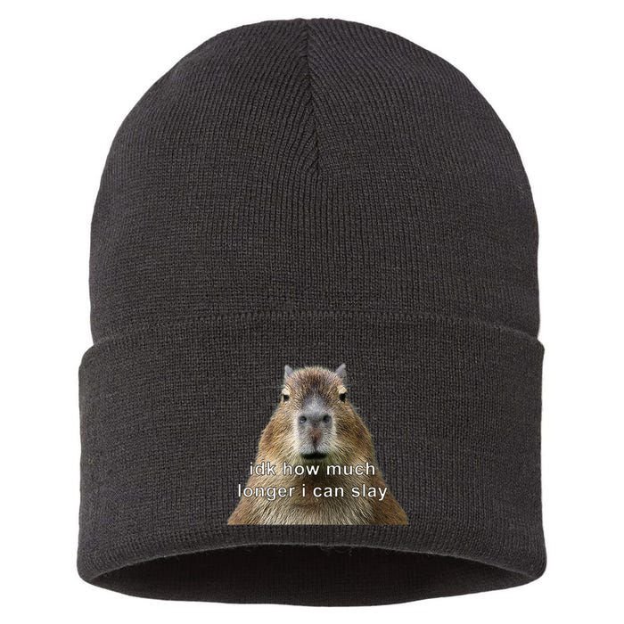 Capybara Idk How Much Longer I Can Slay Sustainable Knit Beanie