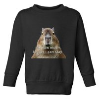 Capybara Idk How Much Longer I Can Slay Toddler Sweatshirt
