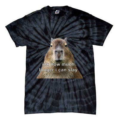 Capybara Idk How Much Longer I Can Slay Tie-Dye T-Shirt