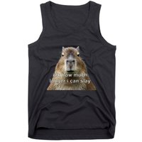 Capybara Idk How Much Longer I Can Slay Tank Top