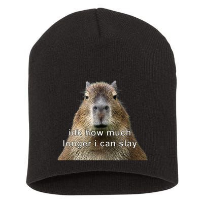 Capybara Idk How Much Longer I Can Slay Short Acrylic Beanie