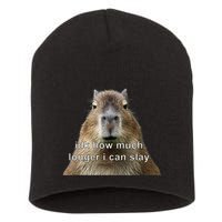 Capybara Idk How Much Longer I Can Slay Short Acrylic Beanie