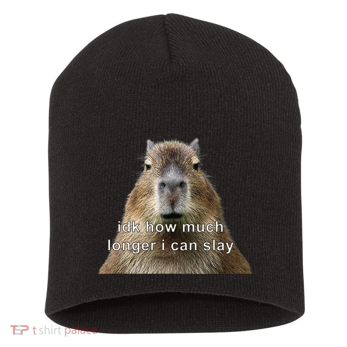 Capybara Idk How Much Longer I Can Slay Short Acrylic Beanie