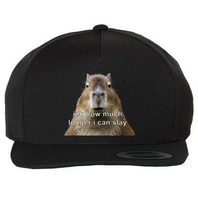 Capybara Idk How Much Longer I Can Slay Wool Snapback Cap