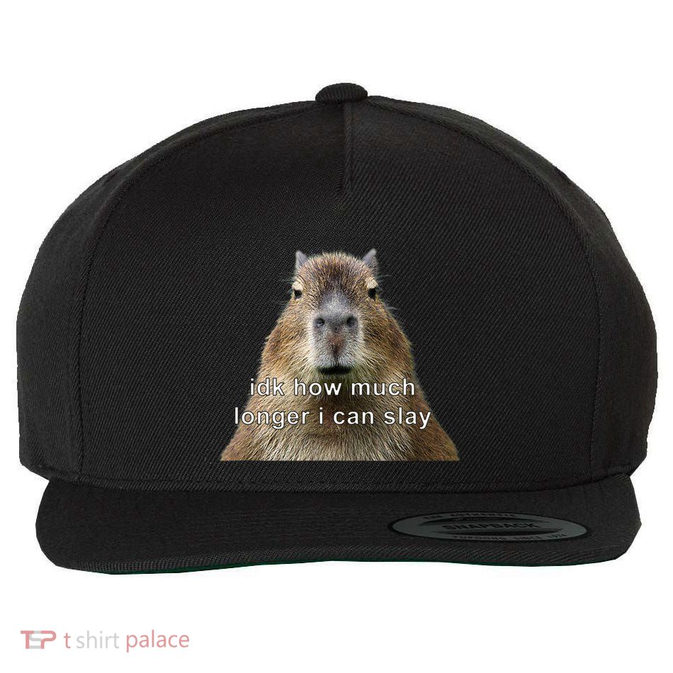 Capybara Idk How Much Longer I Can Slay Wool Snapback Cap