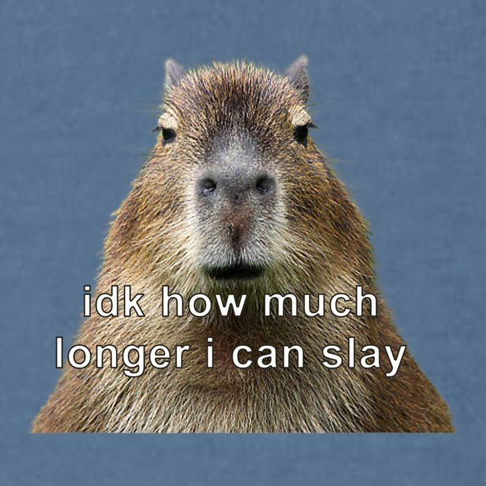 Capybara Idk How Much Longer I Can Slay Garment-Dyed Sweatshirt