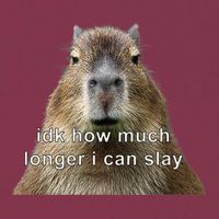 Capybara Idk How Much Longer I Can Slay 16oz Travel Tumbler