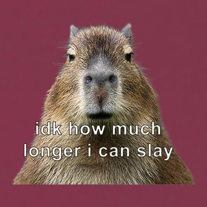 Capybara Idk How Much Longer I Can Slay 16oz Travel Tumbler