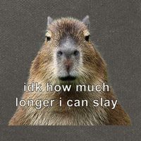 Capybara Idk How Much Longer I Can Slay Cotton Canvas Backpack