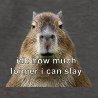 Capybara Idk How Much Longer I Can Slay Vector Backpack