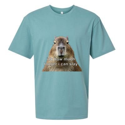 Capybara Idk How Much Longer I Can Slay Sueded Cloud Jersey T-Shirt