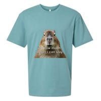 Capybara Idk How Much Longer I Can Slay Sueded Cloud Jersey T-Shirt