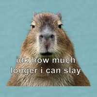 Capybara Idk How Much Longer I Can Slay Sueded Cloud Jersey T-Shirt