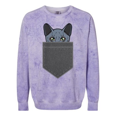 Cat In He Pocket Peeking Russian Blue Cat Mom Gifts Colorblast Crewneck Sweatshirt