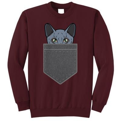 Cat In He Pocket Peeking Russian Blue Cat Mom Gifts Tall Sweatshirt